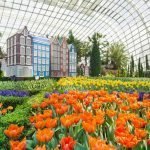 Gardens by the Bay (SIGNALGRYD Wireless Paging Systems)