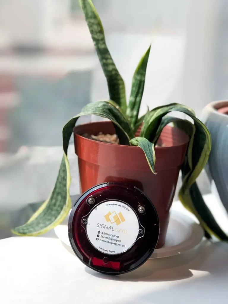 Series Pacific pager standing beside a potted plant